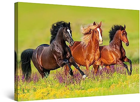 Startonight Bilder Pferderennen auf dem Feld - Leinwandbilder Moderne Kunst - Tiere Wanddeko Kunstdrucke, Wandbilder XXL Wohnzimmer Groß Wand Bild 80 x 120 cm, Tag Nacht Effekt, Elegante Geschenkidee