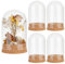 PH PandaHall 4pcs Affichage en Verre Dôme Cloche Cloche en Verre avec Liège Petites Bouteilles en Verre Dôme Pots Décoratifs Cloche Vitrine pour le Stockage de Fleurs Maison Fête de Noël Décoration