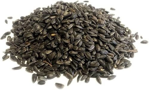 Black Sunflower Seed 750g Premium Wild Bird Food MDW
