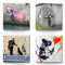 Banksy Bilder 4-er Set als Leinwandbilder. Jedes Bilderset-C Wandbild ist 50x50cm groß und Aufhängefertig zum Dekorieren. Banksy Graffiti Kunst für die 4 Wände. Ideal auch zum verschenken