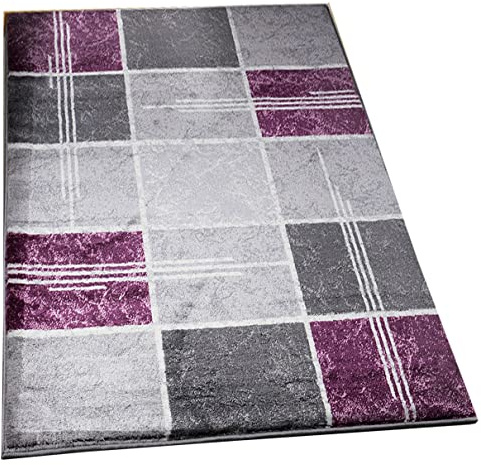 Luxury Rugs for Living Room - Super Soft High Dense Pile Thick Solid Heavy Weight Beautiful Box Design Runner Rug Floor Mat For Front Door Entrance Carpet- Purple, 60 x 110 cm