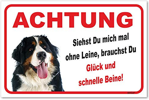 AdriLeo Schild - Vorsicht Berner Sennenhund - Ohne Leine - (20x30cm) / Achtung Hund Wachhund robust langlebig UV-beständig wetterfestes Warnschild