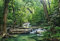 Papier Peint poster panoramique LA FORET D'EMERAUDE 4 x 2,70 m | Déco et photo murale XXL Qualité HD Scenolia
