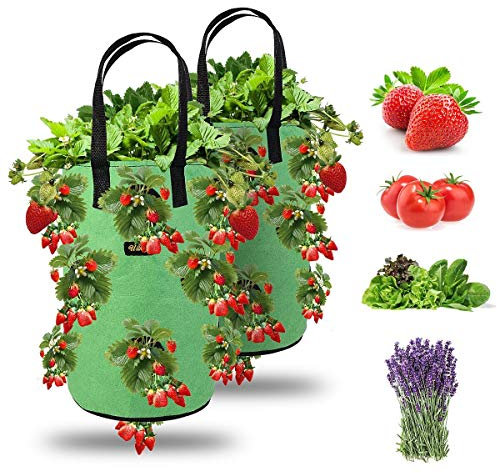 Ulikey 2 Pezzi Borsa per Piante Fragole Sacco per Piantare Sacchi Piante 3 Galloni con Manico e Tasche Laterali con 13 Fori Sacchetti Traspirante per Piante/Erbe/Fiori/Fragole (2 Pezzi - Verde)