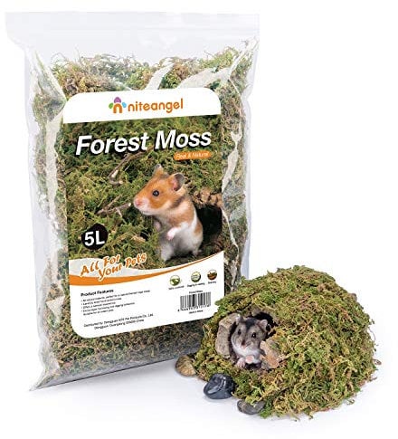 Niteangel 5L Forest Moss Soft Natural Moss Bedding Nesting for Dwarf Syrian Hamsters, Gerbils, mices, Degus or Other Small Animal