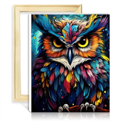LiHEQING Malen nach Zahlen auf Leinwand, Eule, für Erwachsene/Kinder/Anfänger, mit Pinseln und Acrylbildern für die Wanddekoration zu Hause, ohne Rahmen (30 x 40 cm)