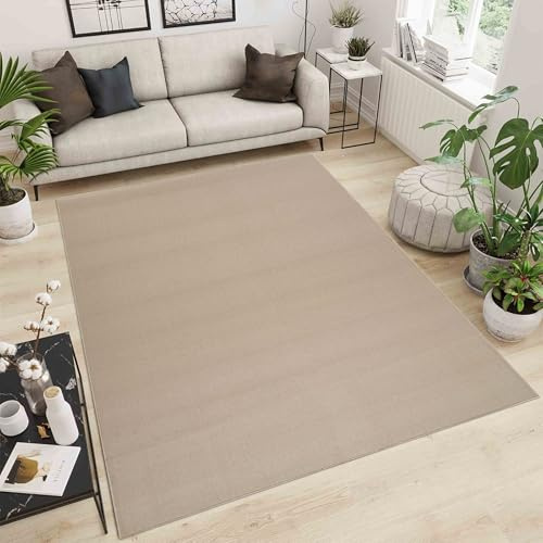 Simple Low Pile Plain Living Room Area Rug, Light Beige, 160x230cm