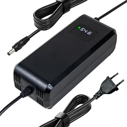 Chargeur Batterie 54.6V 4A, pour Batterie Lithium 48V, avec Affichage LED et Multiples Fonctions de Protection et de réparation, équipé de connecteurs RCA 8mm, DC 5.5 * 2.1mm