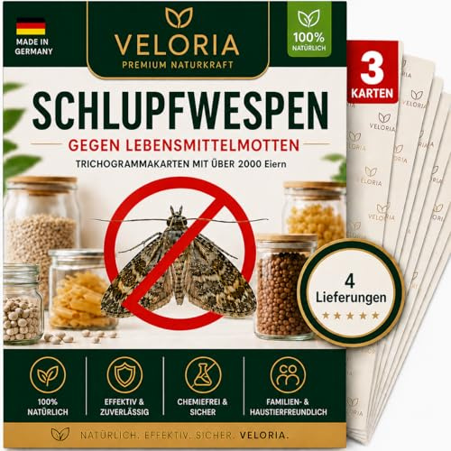 VELORIA Schlupfwespen gegen Lebensmittelmotten - 12 Karten (3 Karten à 4 Lieferungen) - Effekt. Lebensmittel Motten bekämpfen - Alternative zur Mottenfalle, Mottenspray, Pheromonfalle