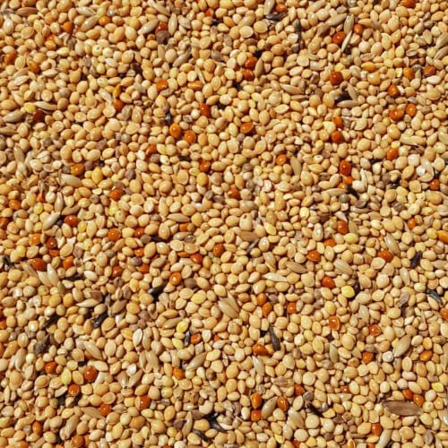Supravit Exotenfutter 5kg - hochwertiges Mischfutter für exotische Finken - enthält wertvolle Hirse & Saaten I kräftigt das Federkleid & unterstützt die Paarungsbereitschaft beim Vogel…