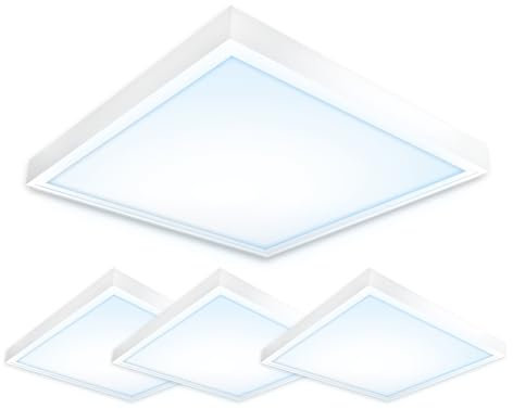 Xtend EcoLight 4x LED Panel 60x60 6000K Tageslichtweiß 40W Aufputz-Montagerahmen Alu weiß Rasterleuchte Aufbaupanel LED Deckenleuchte PLe2.2