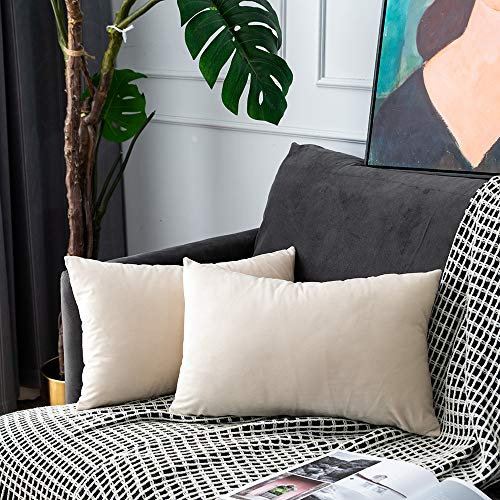 UPOPO 2er Set Samt Kissenbezug Dekorative Einfarbig Kissen Weich Kissenhülle Kissenbezüge Dekokissen Zierkissen Sofakissen für Couch Schlafzimmer Wohnzimmer mit Reißverschlüsse 30 X 50cm Beige
