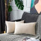 UPOPO 2er Set Samt Kissenbezug Dekorative Einfarbig Kissen Weich Kissenhülle Kissenbezüge Dekokissen Zierkissen Sofakissen für Couch Schlafzimmer Wohnzimmer mit Reißverschlüsse 30 X 50cm Beige