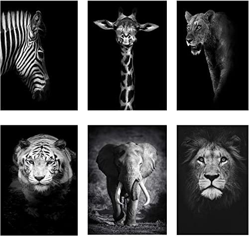 Alister - Leinwandbild, Modern, Schwarz-Weiß, Motiv: Löwe, Elefant, Zebra, Giraffe, Ungerahmt, 21 x 30 cm, Wanddekoration, Für Mehrere Räume
