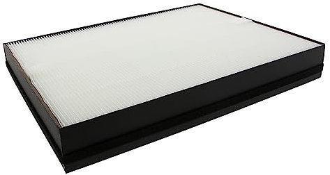 Premium HEPA Ersatzfilter - Kompatibel mit Philips Luftreiniger Serie 2000, 2000i, AC2887/10, AC2889, AC2887, AC2882 - Ersatz für FY2422/30ect HEPA