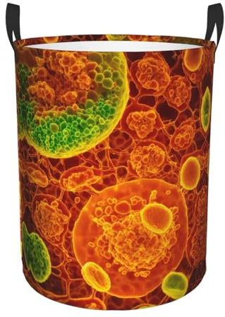 Adherent Eukaryontische Zellen, die durch einen Mikroskop-Wäschekorb gesehen werden, personalisierter Wäschekorb für schmutzige Kleidung, Aufbewahrungskorb für Badezimmer, Schlafzimmer