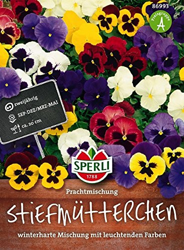 Stiefmütterchen, Prachtmischung