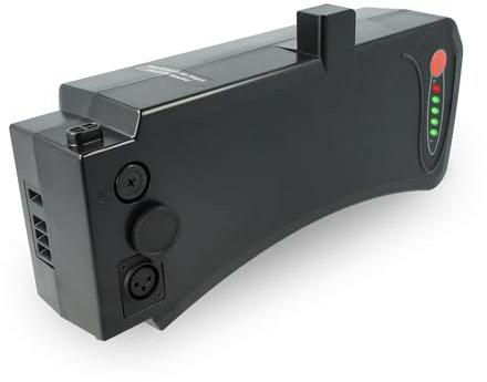 vhbw Akku kompatibel mit Prophete 52466-0111, 52467-0111, 52567-0111, 52667-0111, 52457-0111 E-Bike (10,4 Ah, 36 V, Li-Ion) - Schwarz
