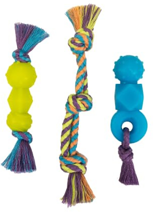 Petstages Mini Dentachew Dog Chew Toy - 3 Pack - Great Size for Small Dogs and Puppies