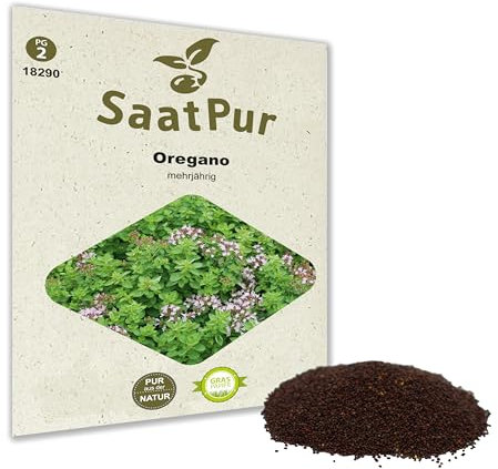 SaatPur Oregano Samen, samenfeste Samen Saatgut für ca. 150 Pflanzen Heilkräuter