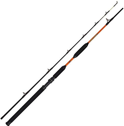 WFT Jakub Vagner N.C. Bank Cat 200-1000g 2,70