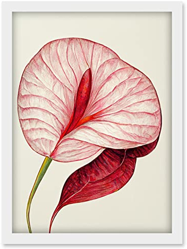 Doppelganger33 LTD Single Red Laceleaf Flower Illustration Anthurium Artwork Framed Wall Art Print A4