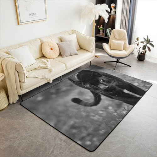 Homewish Leopard Bereich Teppich für Kinder Teens Frau,Schwarzer Panther Teppich 150Bx200L,Safari Geparden Bodenmatte für Den Innenbereich,Wild Tier Dekor Teppich für Zuhause Dekor für Wohnzimmer
