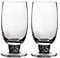 Denby Jet Large Tumbler - Set of 2