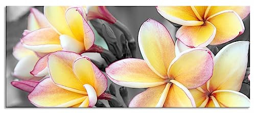 Pixxprint Glasbild Panorama, Wandbild aus Echtglas, schöne Monoi Blüten, 100x40 cm, inkl. Aufhängung und Abstandshalter