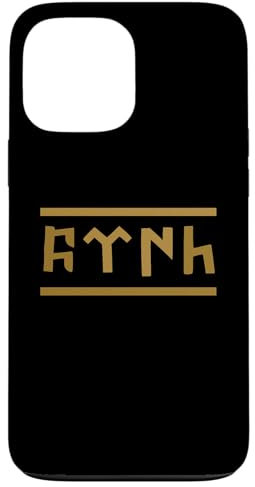 Hülle für iPhone 13 Pro Max TÜRK Schrift - Bozkurt - Göktürk - Göktürkce TÜRK (türkisch)