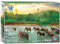 Eurographics 6000-5540 Tier Puzzle, Mehrfarbig, 48x68cm
