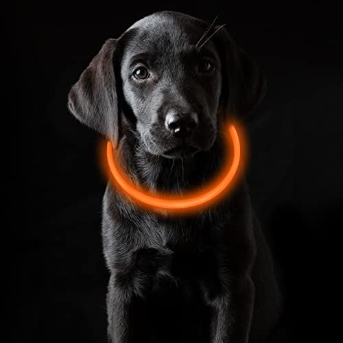 Coolzon LED Leuchthalsband Hundehalsband Aufladbar, Wasserdicht Halsband Hund 3 Modi Längenverstellbareres Super Helle Kalsband Katze und Hunde Klein Groß Mittel, Orange