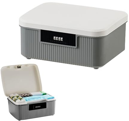 ACESOME Abschließbare box, ABS Aufbewahrungsbox, Box mit Schloss Verschließbare Box, Doppelschicht Medikamentenbox, Karton Mit Deckel Für Kleidung Toys (Grau, 26.2 x 22 x 12cm)