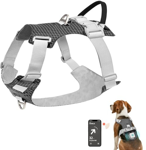 Joytale Leichtes Hundegeschirr für Kleine Hunde, Verstellbares No-Pull-Geschirr mit Clips Vorne und Hinten, Hundegeschirr mit Wiederaufladbarer LED-Box und Airtag-Halterung, Schwarz, XS