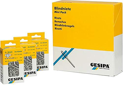 Gesipa 0/2954/000/3,0/6/ /99 Blindniete Mini-Pack Stahl St. = 1 Paket, 3 x 6, 100 Stück, Grau