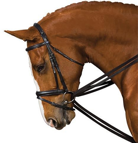 Kincade Web Draw Reins, Black, Full, Black, Full
