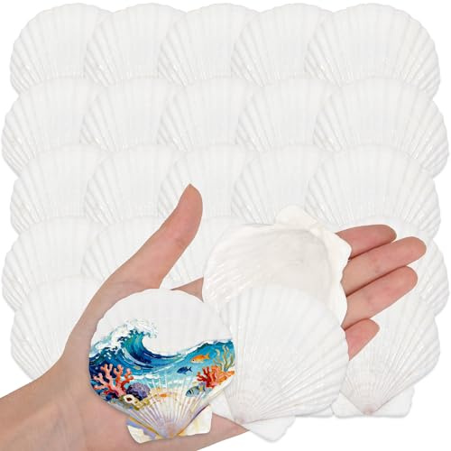 Wirow 35 Stück Natürliche Weiße Jakobsmuscheln 5-7CM Muscheln zum Basteln | Natürliche Muscheln für Handwerk DIY, Handwerk Hochzeit Dekoration Strand Theme Party, Fischtank und Vase Füller