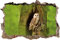 Stil.Zeit Schleiereule in der Baumhöhle Wanddurchbruch im 3D-Look, Wand- oder Türaufkleber Format: 92x62cm, Wandsticker, Wandtattoo, Wanddekoration