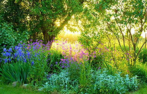 VLIES Fototapete-350x260 cm-GARTEN LANDSCHAFT-(PF5241)-Pflanzen Blumen Gras Natur Bäume Wiese Park Wandbild Wandtattoo Poster Dekoration