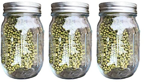 BREATYA 3 tarros de germinación con tapa de pantalla de acero inoxidable de boca Mason