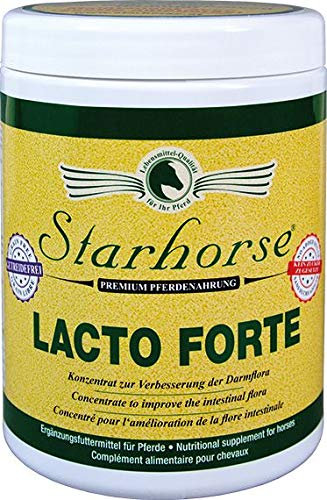 Starhorse Lacto Forte 400g Dose für Pferde Probiotika