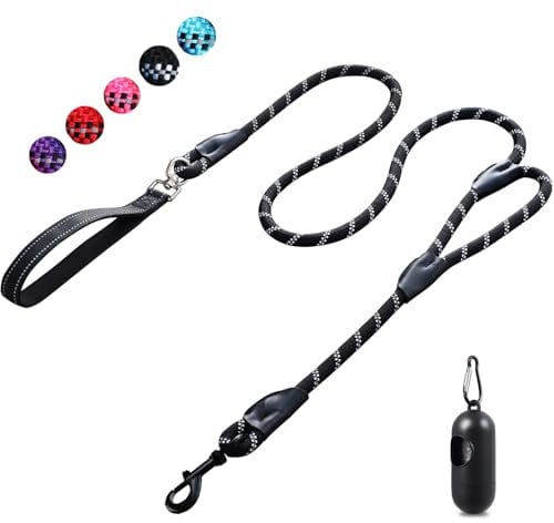 6FT Strong Dog Lead with Comfortable Padded Handle and Highly Reflective Threads for Small, Medium and Large Dogs (6-FT, Black)