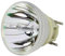 SORNEICDR Projektorlampe kompatibel mit Optoma BL-FP240E BL-FU240B SP.78V01GC01 SP.7AF01GC01 DLP UHD60 UHD50 UHD51A UHD51 UHD40 UHD30 UHD65 UHD51ALV UHD550X UHD4000 X UHD350X UHD300X HD39D