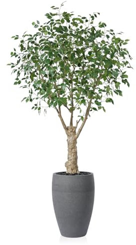 Fopamtri Artificial Ficus Tree 240 cm Fake Plants with White Planter, Tall Artificial Plants Indoor with Lifelike Leaves with Large Planter UV Resistant for Outdoor Home Office Decorations (1 Pack)