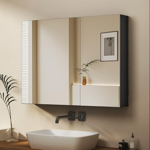 WDWRITTI Rechtecke Spiegelschrank 60x80cm Badezimmerschrank, Badschrank Medizinschrank mit Doppelter Spiegel, 2 Glasablage