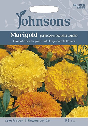 Johnsons 14903 Flower Seeds, Marigold (African) Double, Mixed Yellows