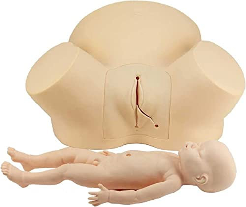 Unterrichtsmodell,Fetaler Modell Geburtshilfe und GYN?kologie Entbindlichkeitssimulator Fortgeschrittener Hebammenausbildungsmodell, Geburtsdemonstrationsmodelle für GYN?kologieunt