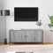 Higsose Meuble TV 102 x 35 x 45 cm gris Sonoma en bois et acier, table TV moderne, armoire de rangement, meuble TV, meuble bas de salon, armoire Hi-Fi, armoire d'appoint, A810