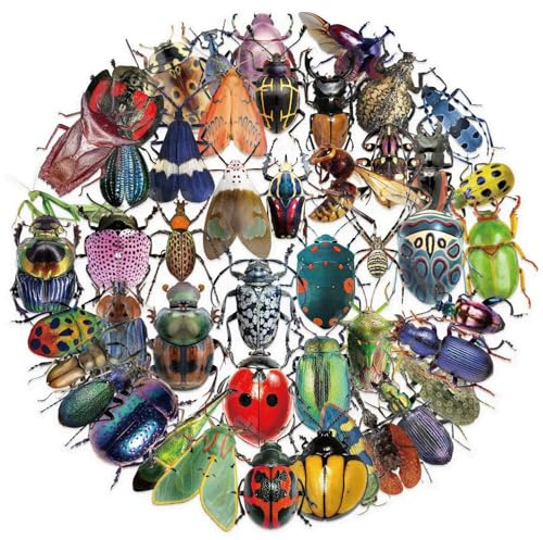 50 Stück Insekten Aufkleber Pack Insect Transparent Sticker Set Wasserdichte Vinyl Sticker für Laptop Kinder Autos Motorrad Fahrrad Skateboard Gepäck Koffer Computer Aufkleber Graffiti Decal