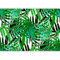 murando - Papier peint panoramique nature 450x315 cm - Revêtement mural décoration salon - Design moderne - Vert turquoise blanc - Fleurs feuilles nature plantes tropical vert b-B-0280-a-a